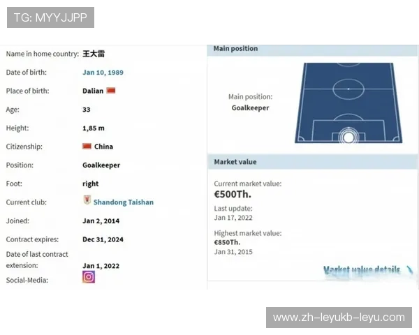 德国足球转会市场中的德甲球队分档详解