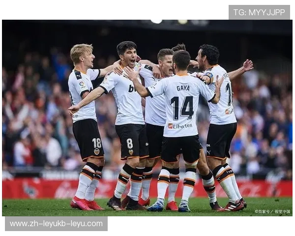 德甲球队降级至德丙联赛的典型案例分析