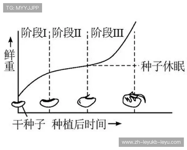 法甲外援适应性变化过程中的技术调整与表现分析