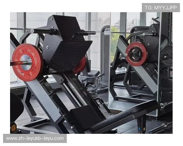 高端健身器材销量突围大众市场偏好转移观察 高端健身器材销量突围大众市场偏好转移观察