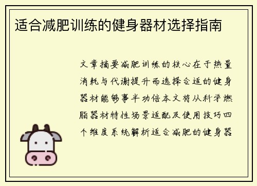 适合减肥训练的健身器材选择指南